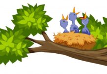 PEARLS FROM THE PANDEMIC