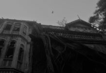 THE BOMBAY SERIES – #1