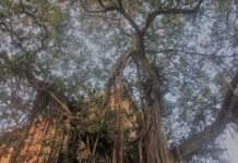 THE BOMBAY SERIES #2